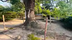 兵主神社(大阪府)