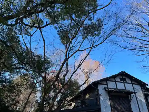 深大寺(東京都)