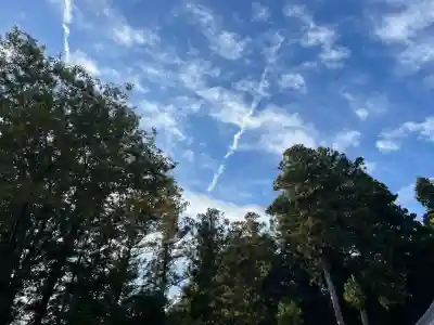 玉泉寺(埼玉県)