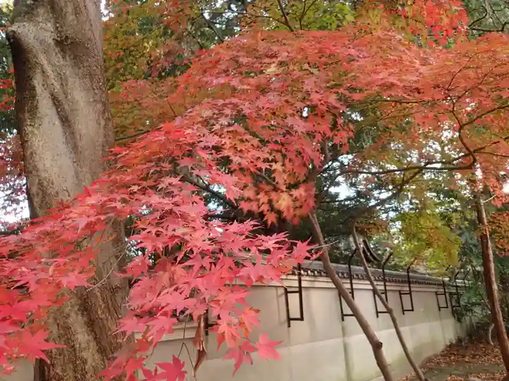 河俣神社の自然