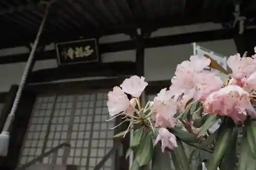 正福寺の{uncategorized: "未分類", other: "その他", undefined: "問題あり", building: "その他建物", grave: "お墓", sacred_gate: "鳥居", guardian: "狛犬", statue: "像", buddha: "仏像", history: "歴史", nature: "自然", garden: "庭園", animal: "動物", pagoda: "塔", temizu: "手水舎", mountain_gate: "山門・神門", sanctuary: "本殿・本堂", subordinate: "末社・摂社", art: "芸術", scenery: "景色", jizo: "地蔵", ema: "絵馬", goshuin: "御朱印", omikuji: "おみくじ", items: "授与品その他", amulet: "お守り", goshuincho: "御朱印帳", eats: "食事", festival: "お祭り", votive_dance: "神楽", shichigosan: "七五三参", wedding: "結婚式", experience: "体験その他", initially: "初詣", around: "周辺", anti_infection: "感染症対策"}
