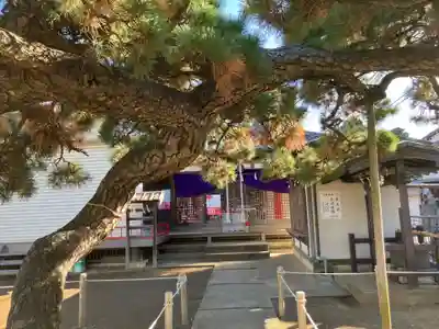 八雲神社(神奈川県)
