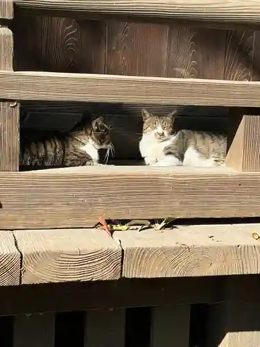 阿邪訶根神社(福島県)
