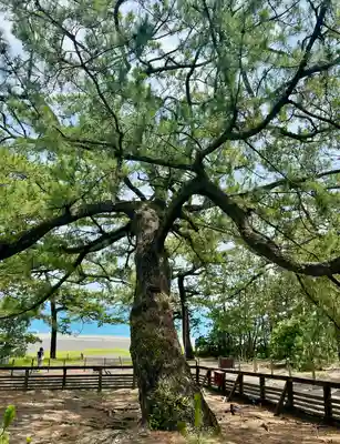 羽車神社(静岡県)