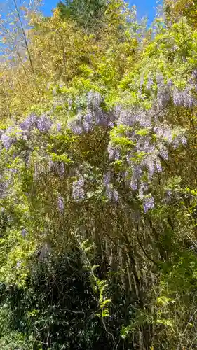 眞名井神社（籠神社奥宮）(京都府)