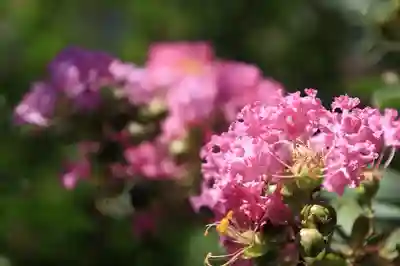 當麻寺中之坊(奈良県)