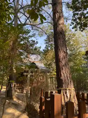 窪八幡宮(岡山県)
