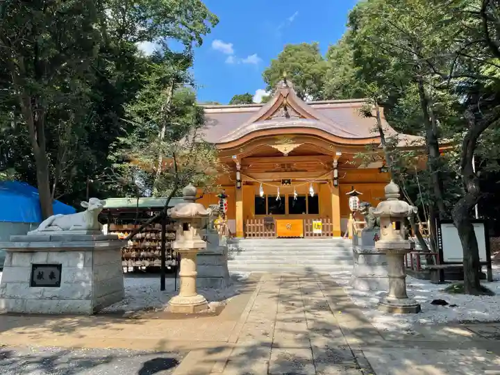 小金井神社の本殿・本堂