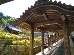 長谷寺(奈良県)