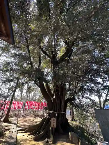 十二社(東京都)