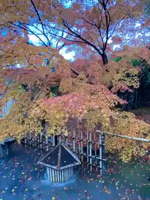 宝厳院(京都府)
