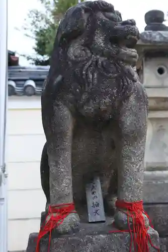 御霊神社の狛犬