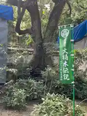 賀茂神社の自然