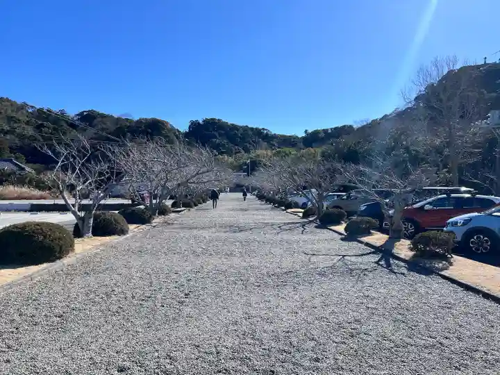 安房神社(千葉県)