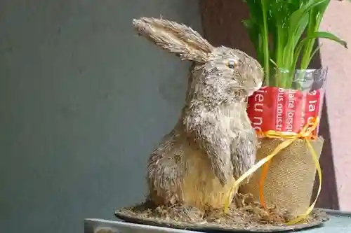 宇治神社の狛犬