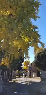 下総府中六所神社の鳥居
