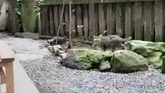 小野照崎神社の動物