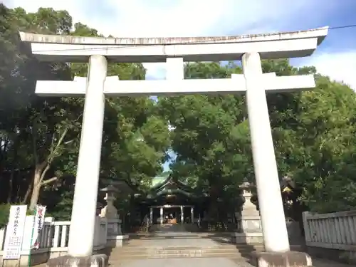 王子神社の鳥居