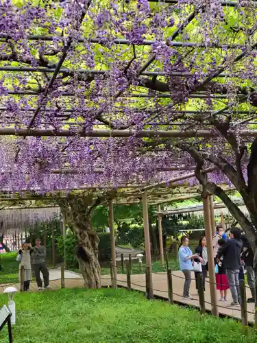曼陀羅寺の庭園