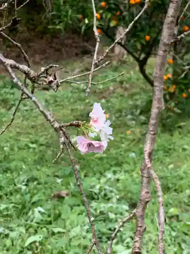 成身院　百体観音堂（さざえ堂）(埼玉県)