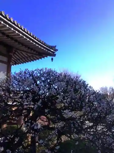 東長谷寺　薬王院(東京都)