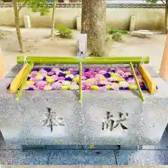 現人神社(福岡県)