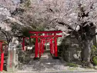 於菊稲荷神社(群馬県)