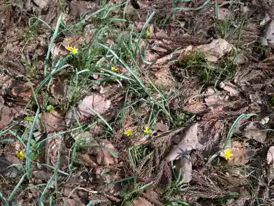 函館八幡宮の{uncategorized: "未分類", other: "その他", undefined: "問題あり", building: "その他建物", grave: "お墓", sacred_gate: "鳥居", guardian: "狛犬", statue: "像", buddha: "仏像", history: "歴史", nature: "自然", garden: "庭園", animal: "動物", pagoda: "塔", temizu: "手水舎", mountain_gate: "山門・神門", sanctuary: "本殿・本堂", subordinate: "末社・摂社", art: "芸術", scenery: "景色", jizo: "地蔵", ema: "絵馬", goshuin: "御朱印", omikuji: "おみくじ", items: "授与品その他", amulet: "お守り", goshuincho: "御朱印帳", eats: "食事", festival: "お祭り", votive_dance: "神楽", shichigosan: "七五三参", wedding: "結婚式", experience: "体験その他", initially: "初詣", around: "周辺", anti_infection: "感染症対策"}