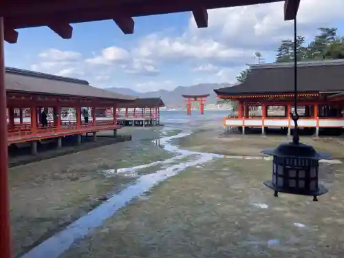 厳島神社の{uncategorized: "未分類", other: "その他", undefined: "問題あり", building: "その他建物", grave: "お墓", sacred_gate: "鳥居", guardian: "狛犬", statue: "像", buddha: "仏像", history: "歴史", nature: "自然", garden: "庭園", animal: "動物", pagoda: "塔", temizu: "手水舎", mountain_gate: "山門・神門", sanctuary: "本殿・本堂", subordinate: "末社・摂社", art: "芸術", scenery: "景色", jizo: "地蔵", ema: "絵馬", goshuin: "御朱印", omikuji: "おみくじ", items: "授与品その他", amulet: "お守り", goshuincho: "御朱印帳", eats: "食事", festival: "お祭り", votive_dance: "神楽", shichigosan: "七五三参", wedding: "結婚式", experience: "体験その他", initially: "初詣", around: "周辺", anti_infection: "感染症対策"}