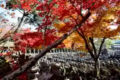 化野念仏寺(京都府)