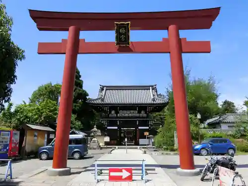 梅宮大社の鳥居