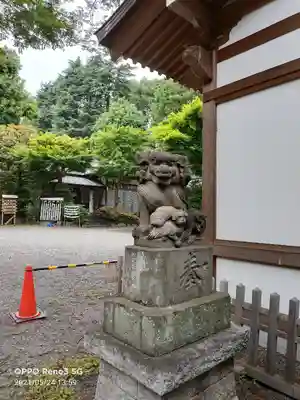 青渭神社の狛犬