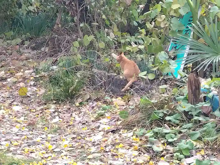常昌寺(滋賀県)