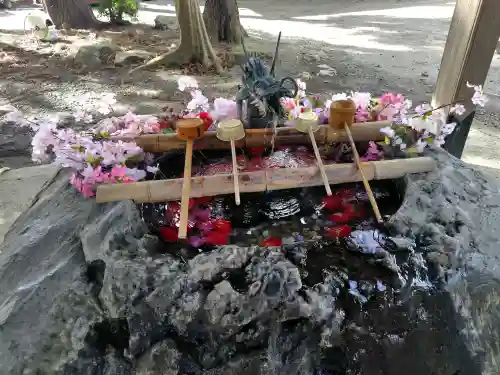駒形神社の{uncategorized: "未分類", other: "その他", undefined: "問題あり", building: "その他建物", grave: "お墓", sacred_gate: "鳥居", guardian: "狛犬", statue: "像", buddha: "仏像", history: "歴史", nature: "自然", garden: "庭園", animal: "動物", pagoda: "塔", temizu: "手水舎", mountain_gate: "山門・神門", sanctuary: "本殿・本堂", subordinate: "末社・摂社", art: "芸術", scenery: "景色", jizo: "地蔵", ema: "絵馬", goshuin: "御朱印", omikuji: "おみくじ", items: "授与品その他", amulet: "お守り", goshuincho: "御朱印帳", eats: "食事", festival: "お祭り", votive_dance: "神楽", shichigosan: "七五三参", wedding: "結婚式", experience: "体験その他", initially: "初詣", around: "周辺", anti_infection: "感染症対策"}