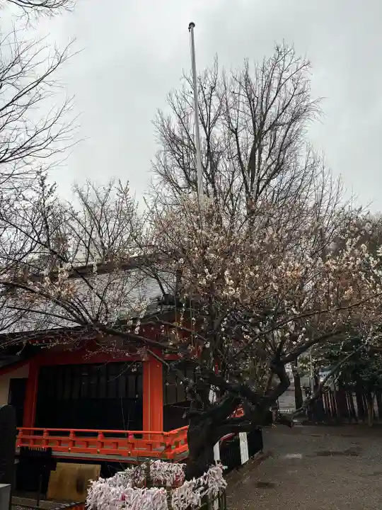 花園神社の自然