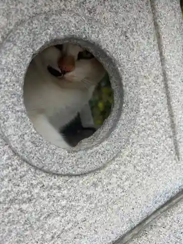 織幡神社(福岡県)