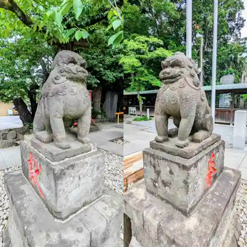 鎮守氷川神社の狛犬