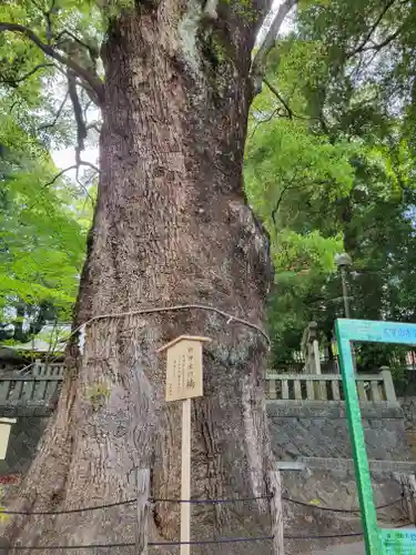 五所神社(神奈川県)
