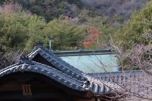 皇后八幡神社の本殿・本堂