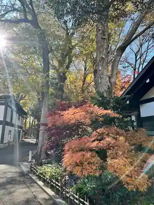 大國魂神社(東京都)