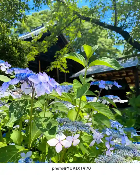 上戸田氷川神社(埼玉県)