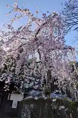 岩屋寺(京都府)