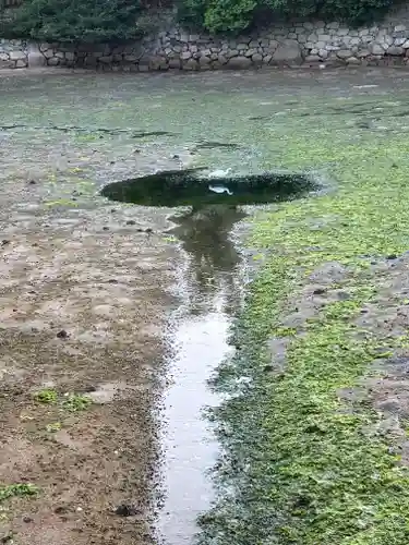厳島神社(広島県)
