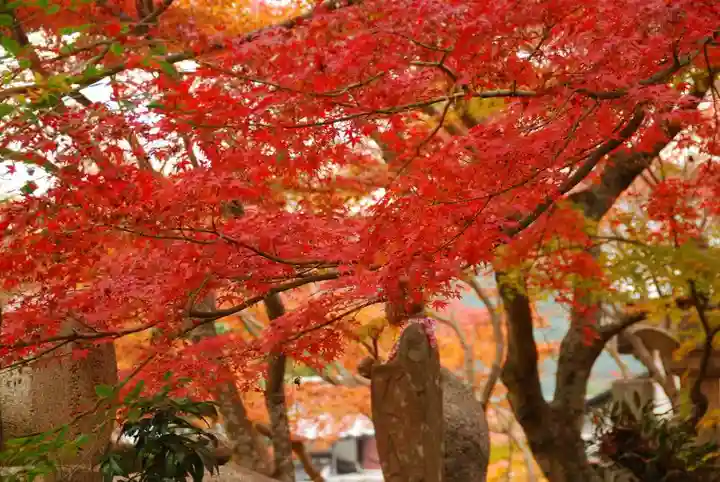 両足寺(山口県)