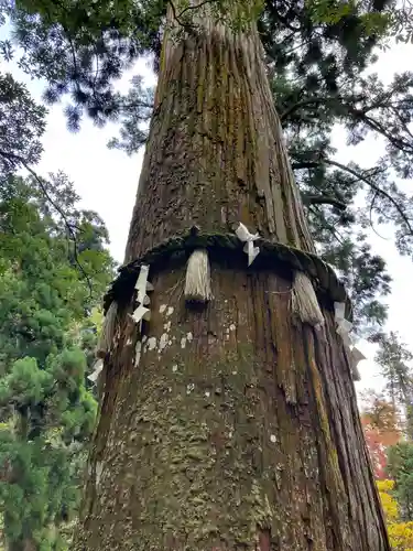 由岐神社(京都府)