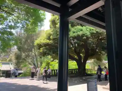 湯島聖堂(東京都)