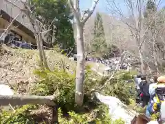 戸隠神社奥社(長野県)