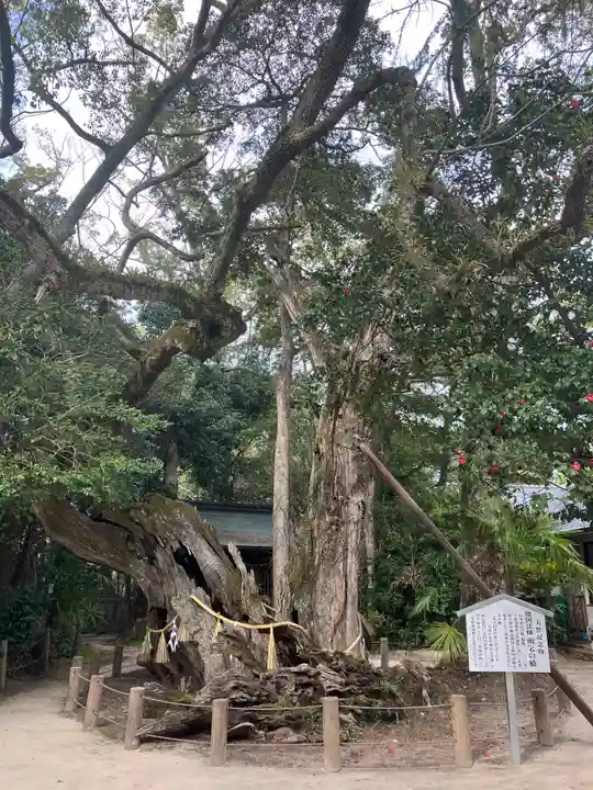 大山祇神社(愛媛県)