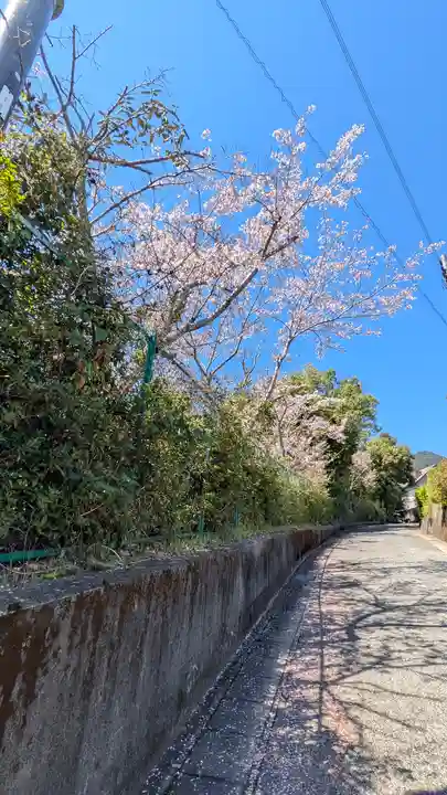 興玉神社(滋賀県)