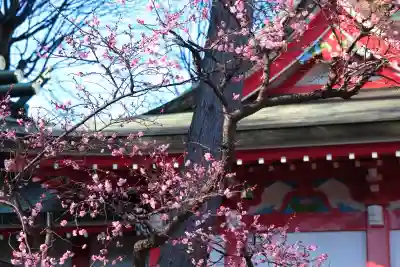 川越八幡宮の{uncategorized: "未分類", other: "その他", undefined: "問題あり", building: "その他建物", grave: "お墓", sacred_gate: "鳥居", guardian: "狛犬", statue: "像", buddha: "仏像", history: "歴史", nature: "自然", garden: "庭園", animal: "動物", pagoda: "塔", temizu: "手水舎", mountain_gate: "山門・神門", sanctuary: "本殿・本堂", subordinate: "末社・摂社", art: "芸術", scenery: "景色", jizo: "地蔵", ema: "絵馬", goshuin: "御朱印", omikuji: "おみくじ", items: "授与品その他", amulet: "お守り", goshuincho: "御朱印帳", eats: "食事", festival: "お祭り", votive_dance: "神楽", shichigosan: "七五三参", wedding: "結婚式", experience: "体験その他", initially: "初詣", around: "周辺", anti_infection: "感染症対策"}